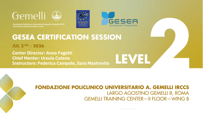 GESEA Certification Session Level 2