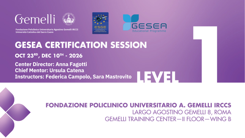 GESEA Certification Level I